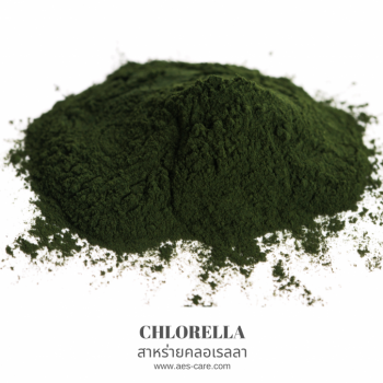 สาหร่ายคลอเรลลา (Chlorella)
