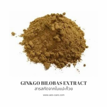 สารสกัดจากกิงโก บิโลบา หรือใบแป๊ะก๊วย (Ginkgo Bilobas Extract)