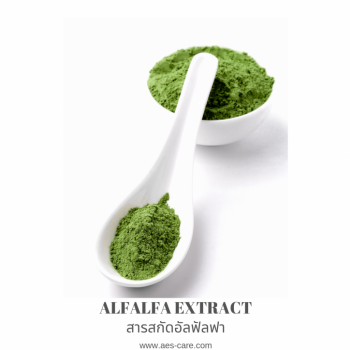 สารสกัดอัลฟัลฟา (Alfalfa Extract) 0