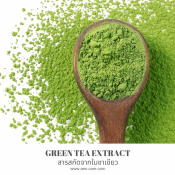 Green Tea Extreact (สารสกัดจากใบชาเขียว) 0