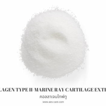 คอลลาเจนไทพ์ทู (Collagen Type II- Marine Ray Cartilage Extract)