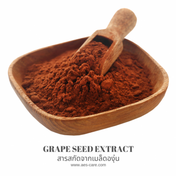 สารสกัดจากเมล็ดองุ่น (Grape Seed Extract)