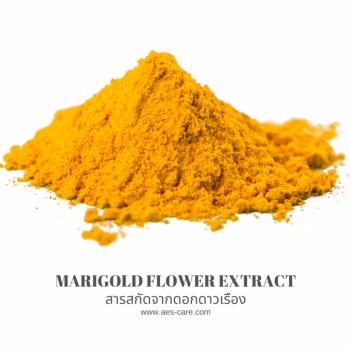 สารสกัดจากดอกดาวเรือง (Marigold flower extract)