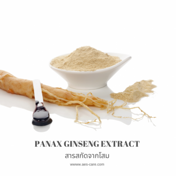 สารสกัดจากโสม (Panax Ginseng Extract)
