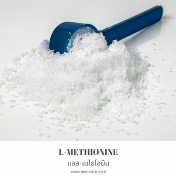 แอล-เมไธโอนีน (L-Methionine)