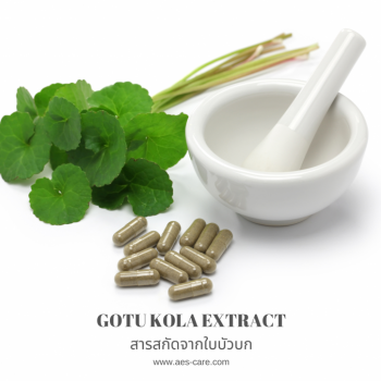 สารสกัดจากใบบัวบก (Gotu Kola Extract)