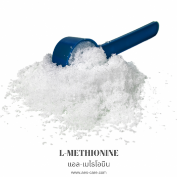 แอล-เมไธโอนีน (L-Methionine)